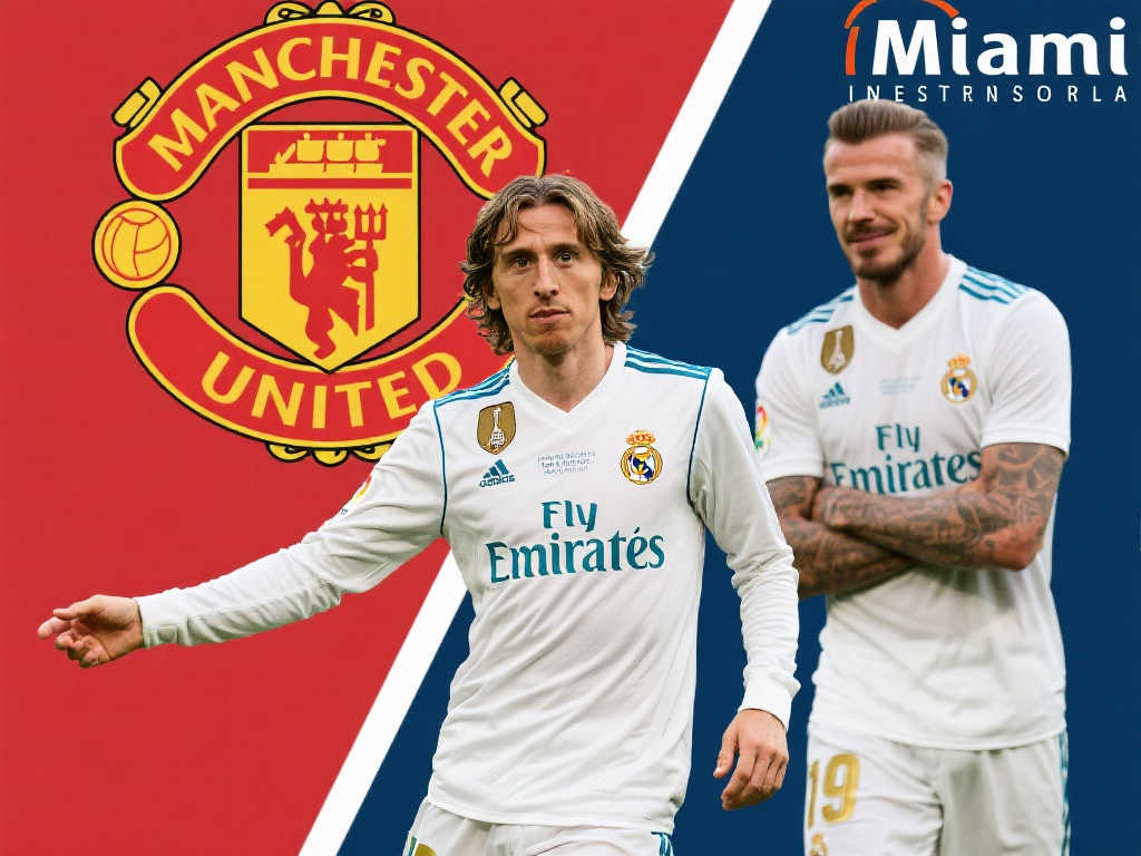 框架内解决 框架内解决